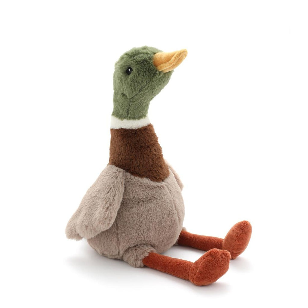 Hugo the Mallard Duck