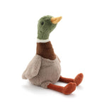 Hugo the Mallard Duck