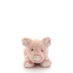Paloma the Pig