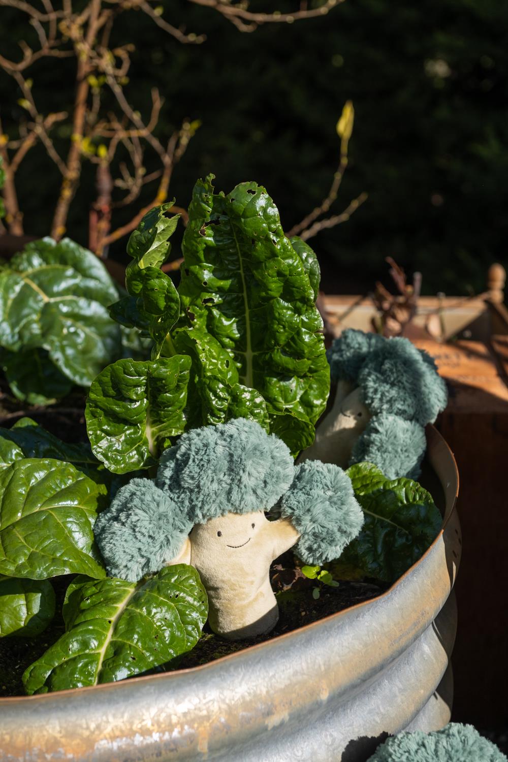 Bo Broccoli - The Green Friend