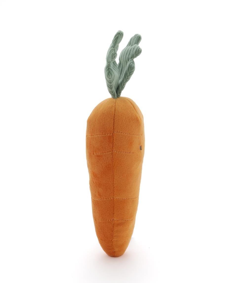 Curtis Carrot - The Caring Friend