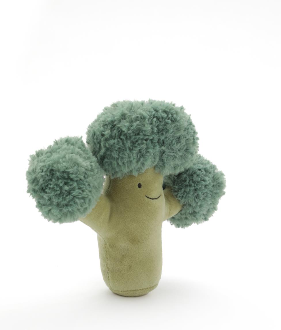 Bo Broccoli - The Green Friend