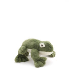 Finley the Frog