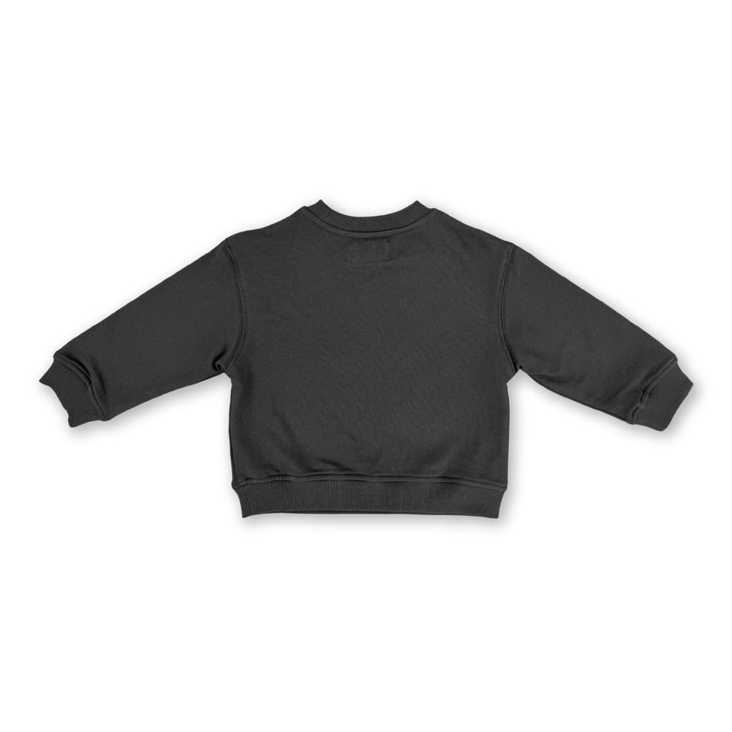 Parrot Fish Jumper - Ash