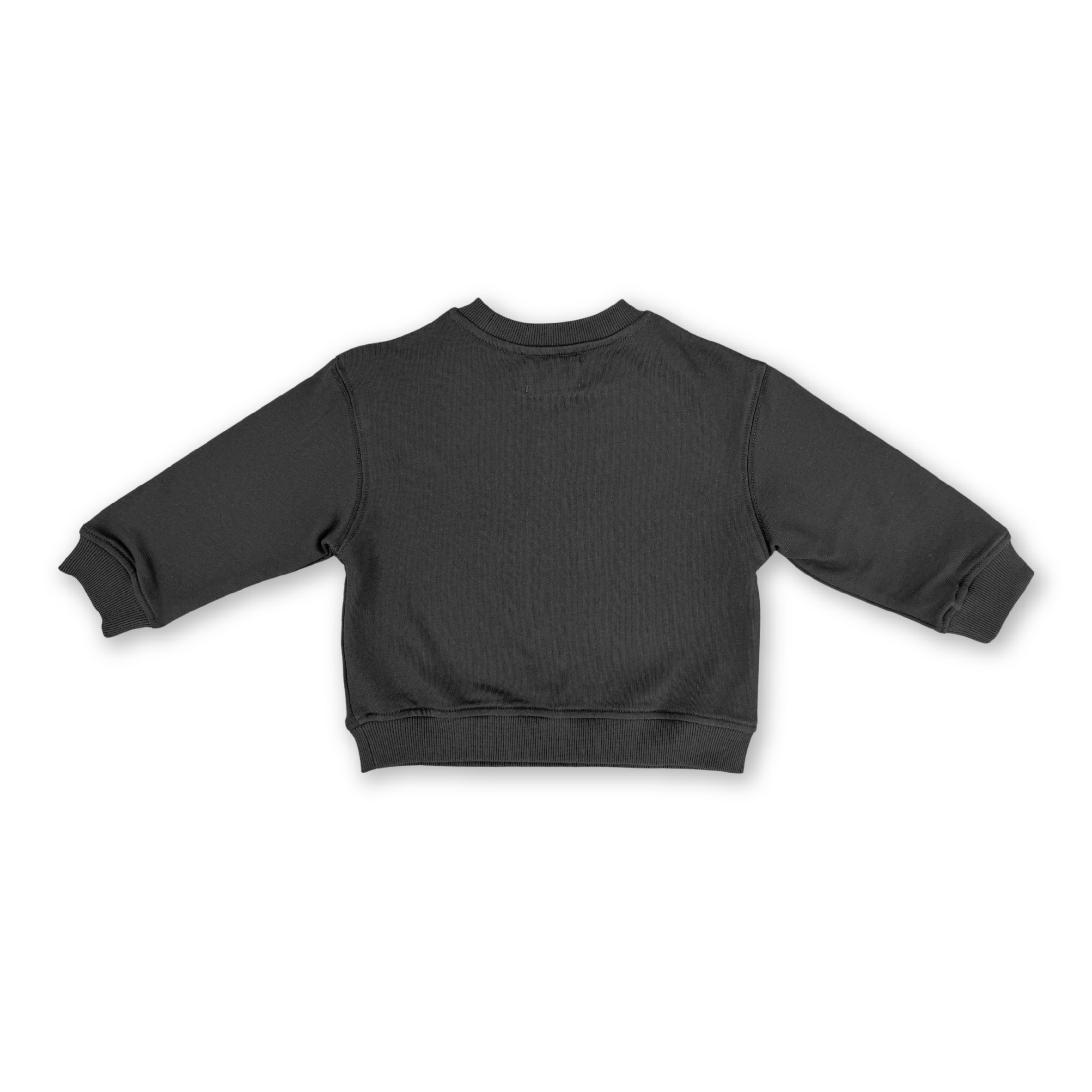 Parrot Fish Jumper - Ash