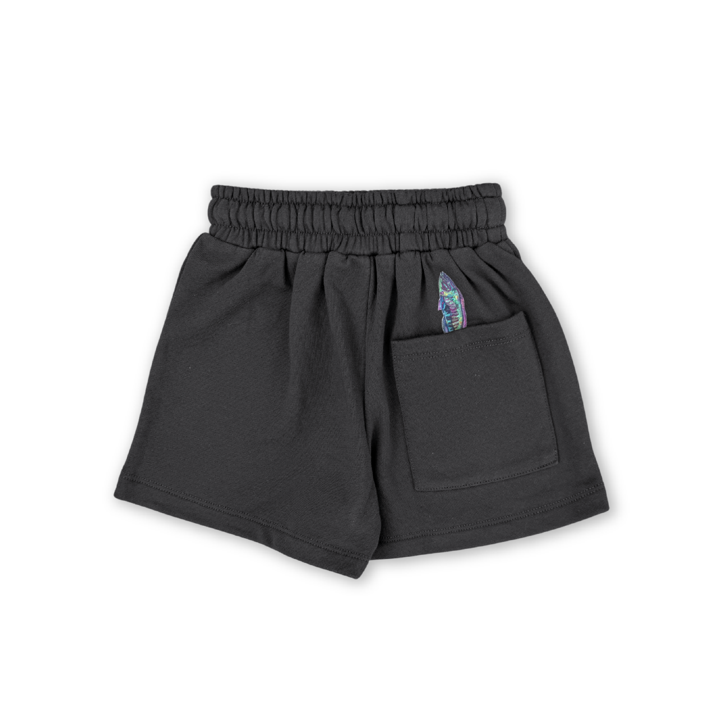 Parrot Fish Shorts - Ash