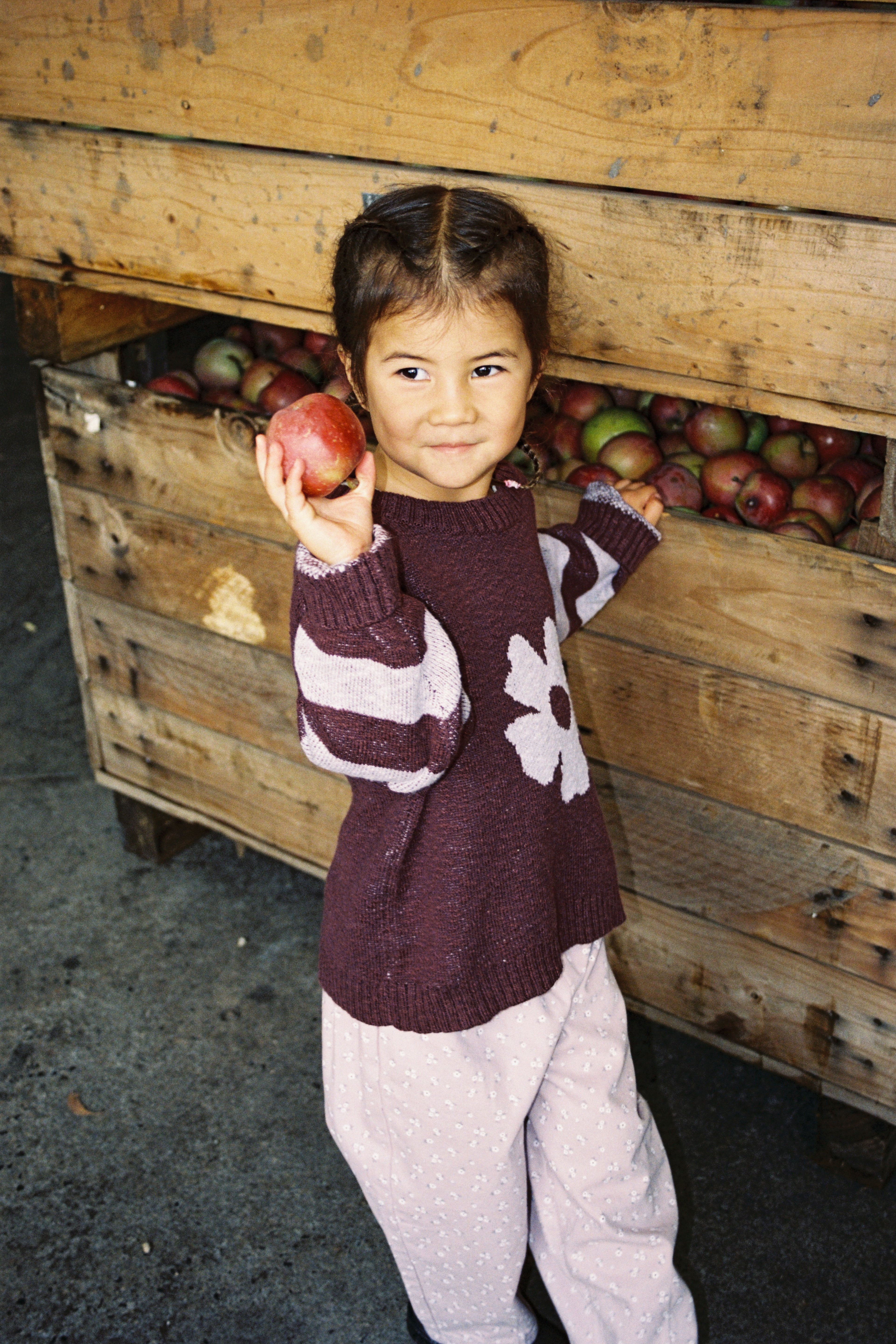 Bloom Knit Pull Over - Plum