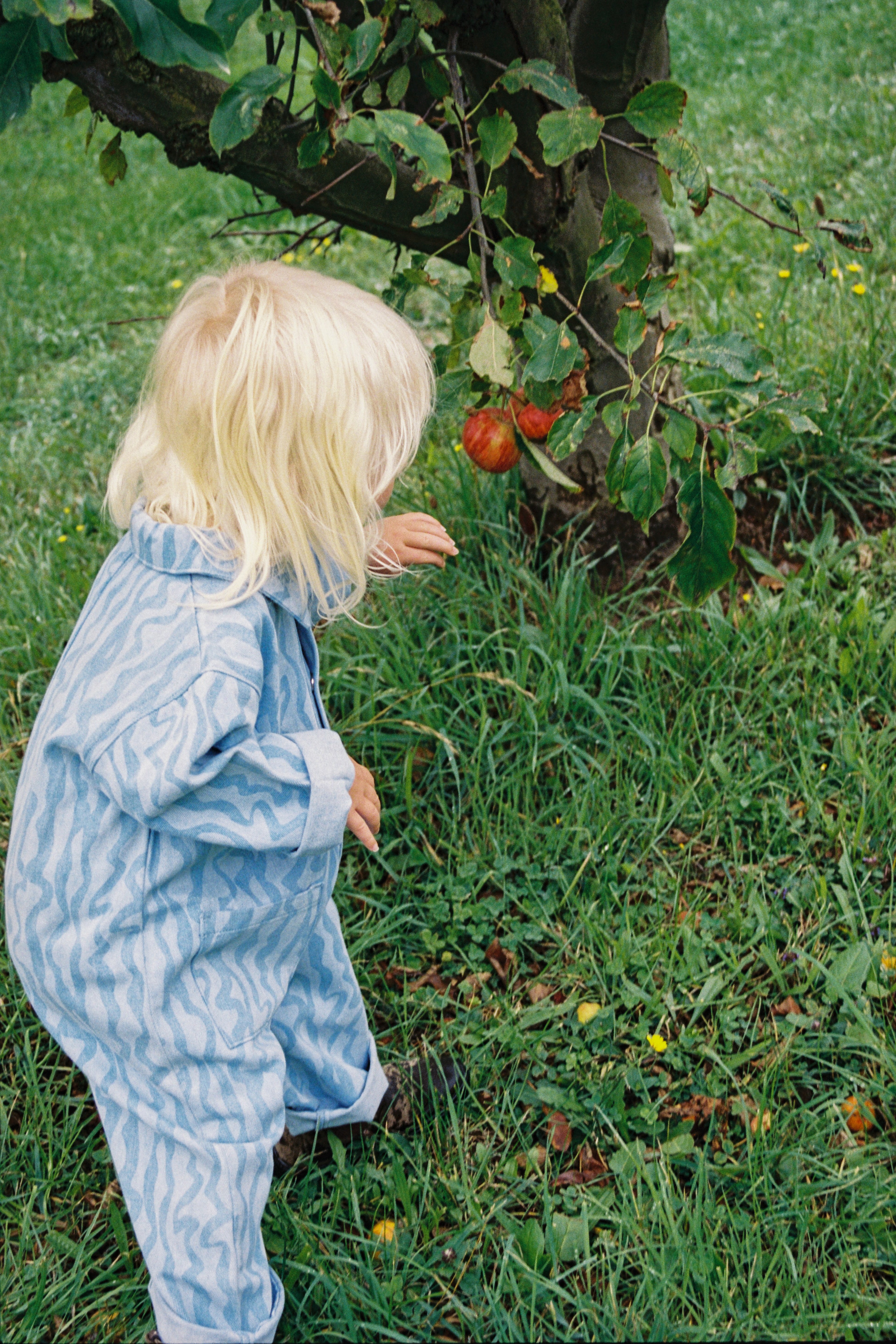 Organic Flow Denim Boilersuit