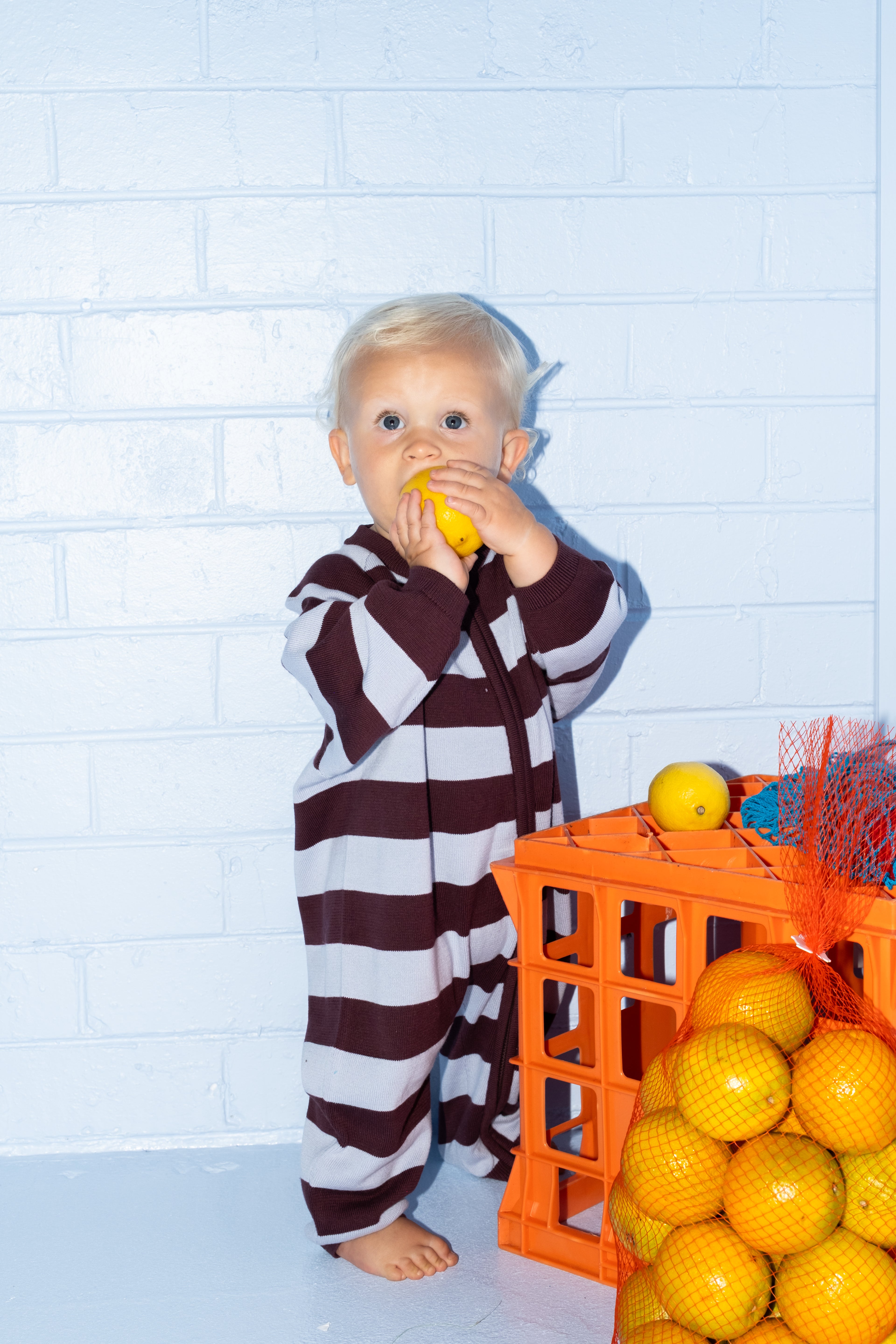 Organic Stripe Zipper Knit Starsuit - Plum & Haze
