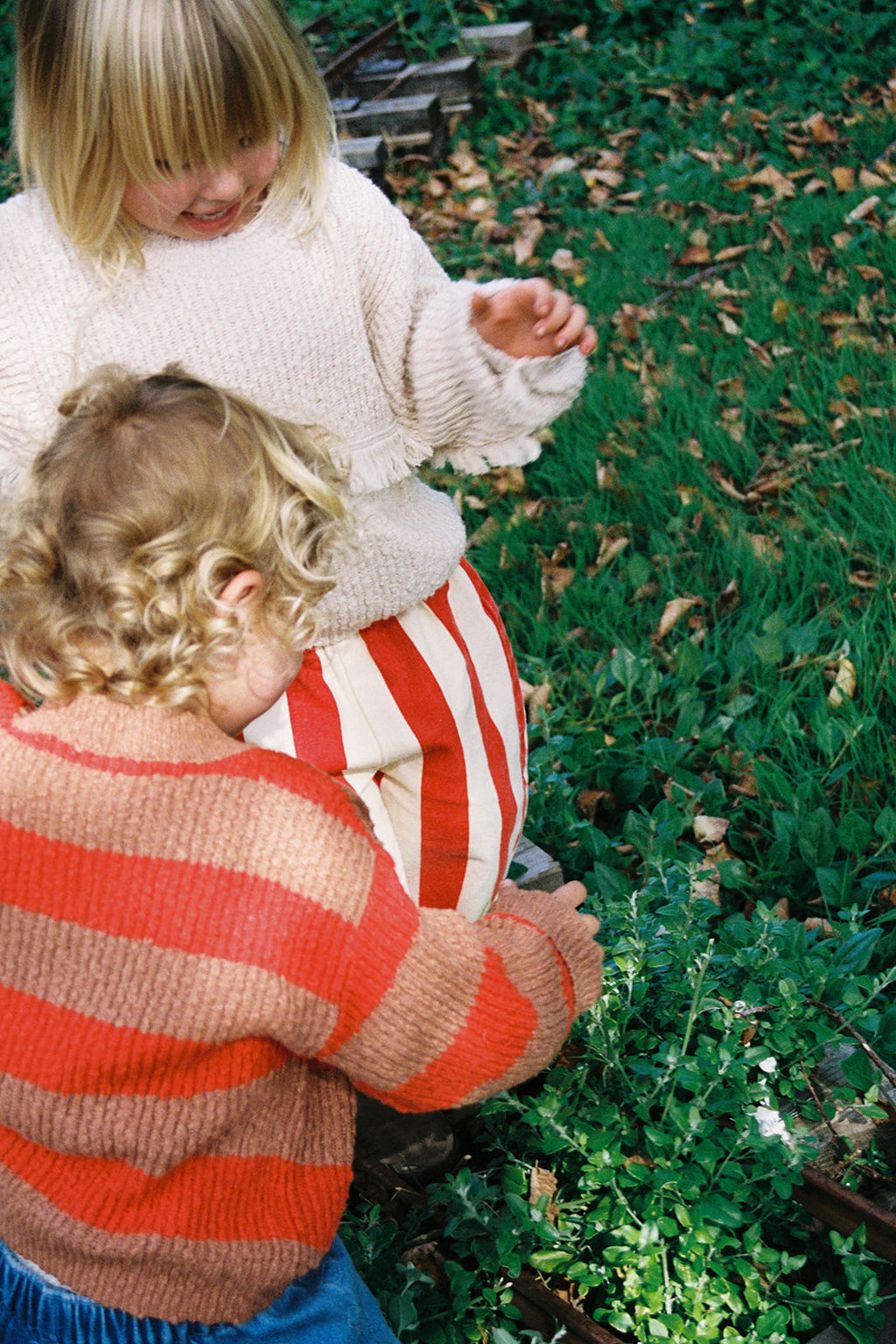 Organic Textured Rib Pull Over - Earth & Sauce