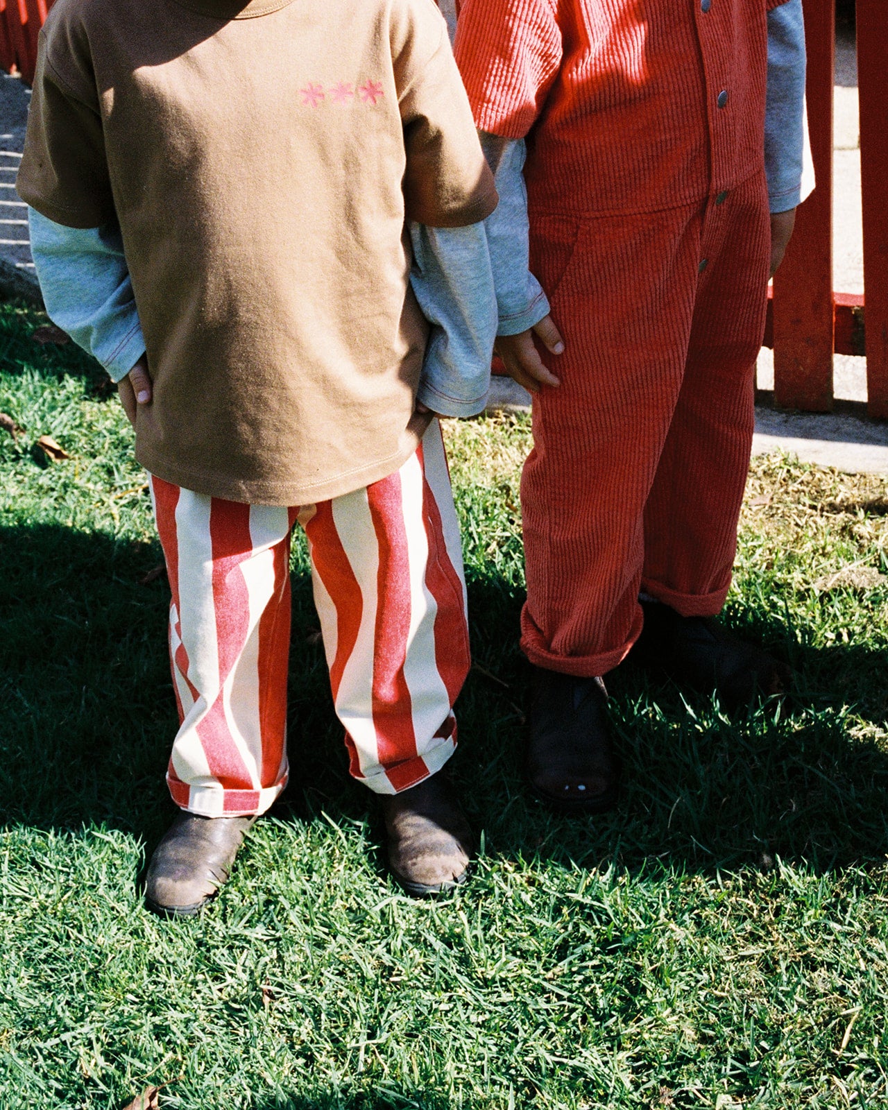 Organic Everyday Stripe Pant - Sauce