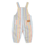 Vintage Stripe Overall - Multi