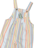 Vintage Stripe Overall - Multi