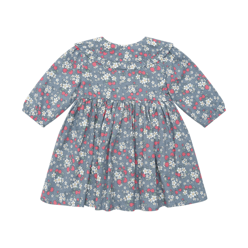 Vintage Strawberry Collar Dress - Dusty Blue