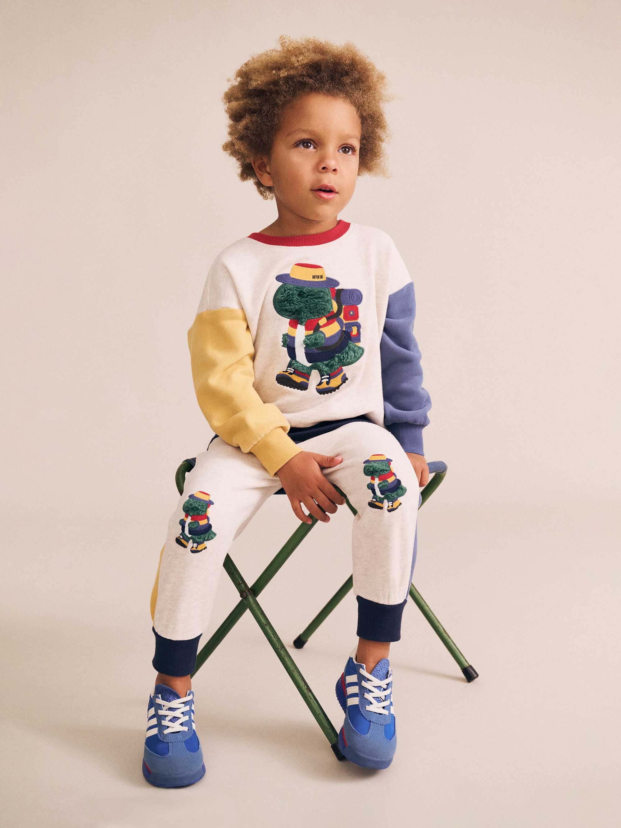 Camping Dino Colour Block Sweatshirt