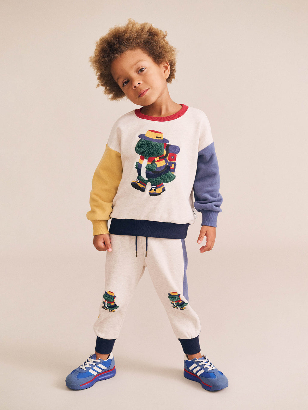 Camping Dino Colour Block Sweatshirt