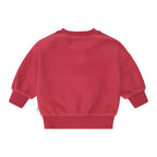 Collegiate Panel Sweatshirt