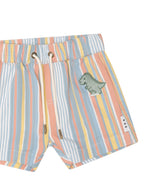 Vintage Stripe Short - Multi