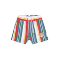 Vintage Stripe Shorts