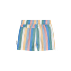 Vintage Stripe Swim Short - Multi Stripe