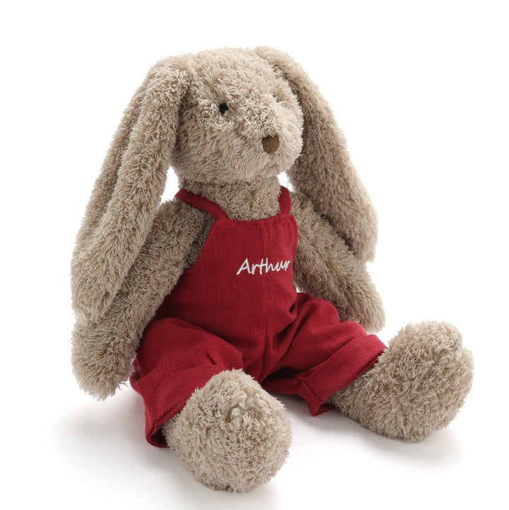 Personalised Mr Honey Bunny - Red