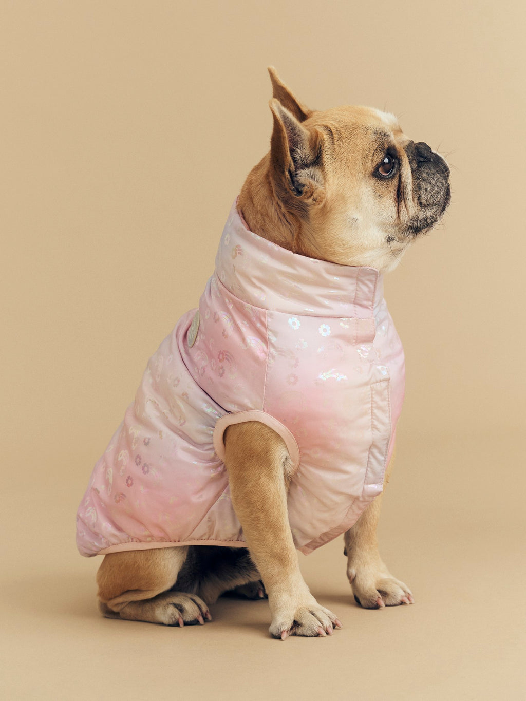 Rainbow Reversible Dog Vest - Rosebud