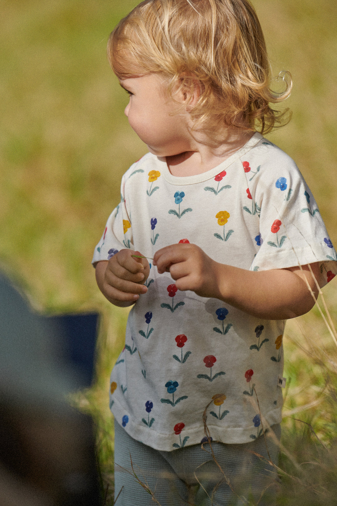 Nature Baby Jimmy Shorts Sweatshirt Knit - Star Dew
