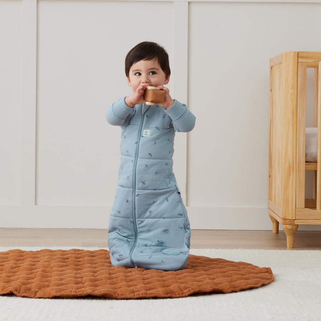 Jersey Sleeping Bag Long Sleeve  2.5 TOG - Dragonflies