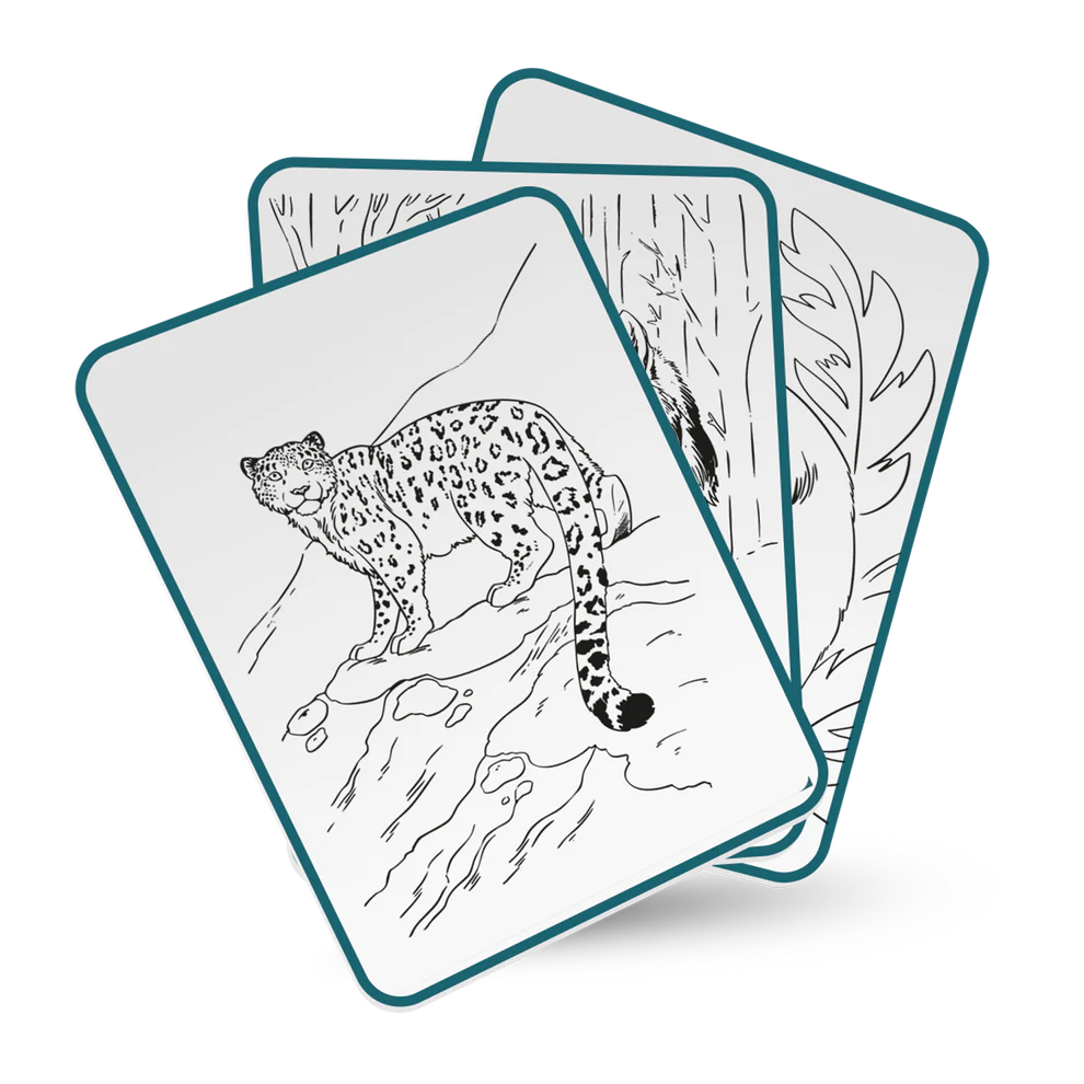 Kidydraw-pad - Animals