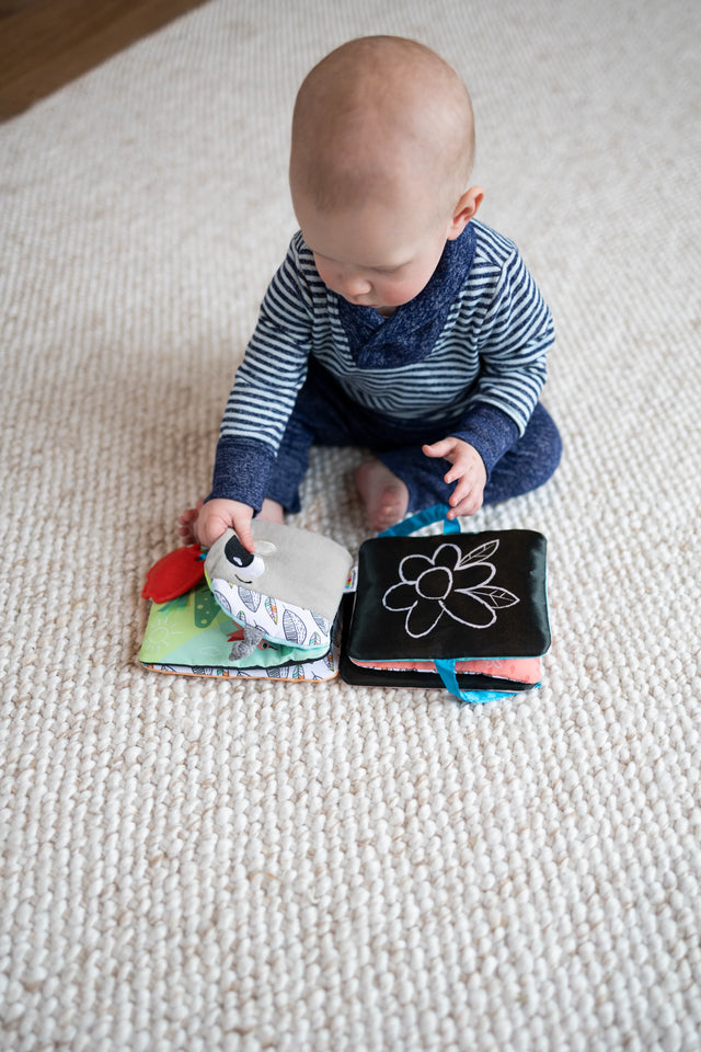 Lamaze Colorful Journey Caterpillar Book