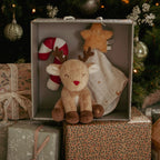 Little Dutch Christmas Newborn Giftset