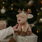 Little Dutch Christmas Newborn Giftset