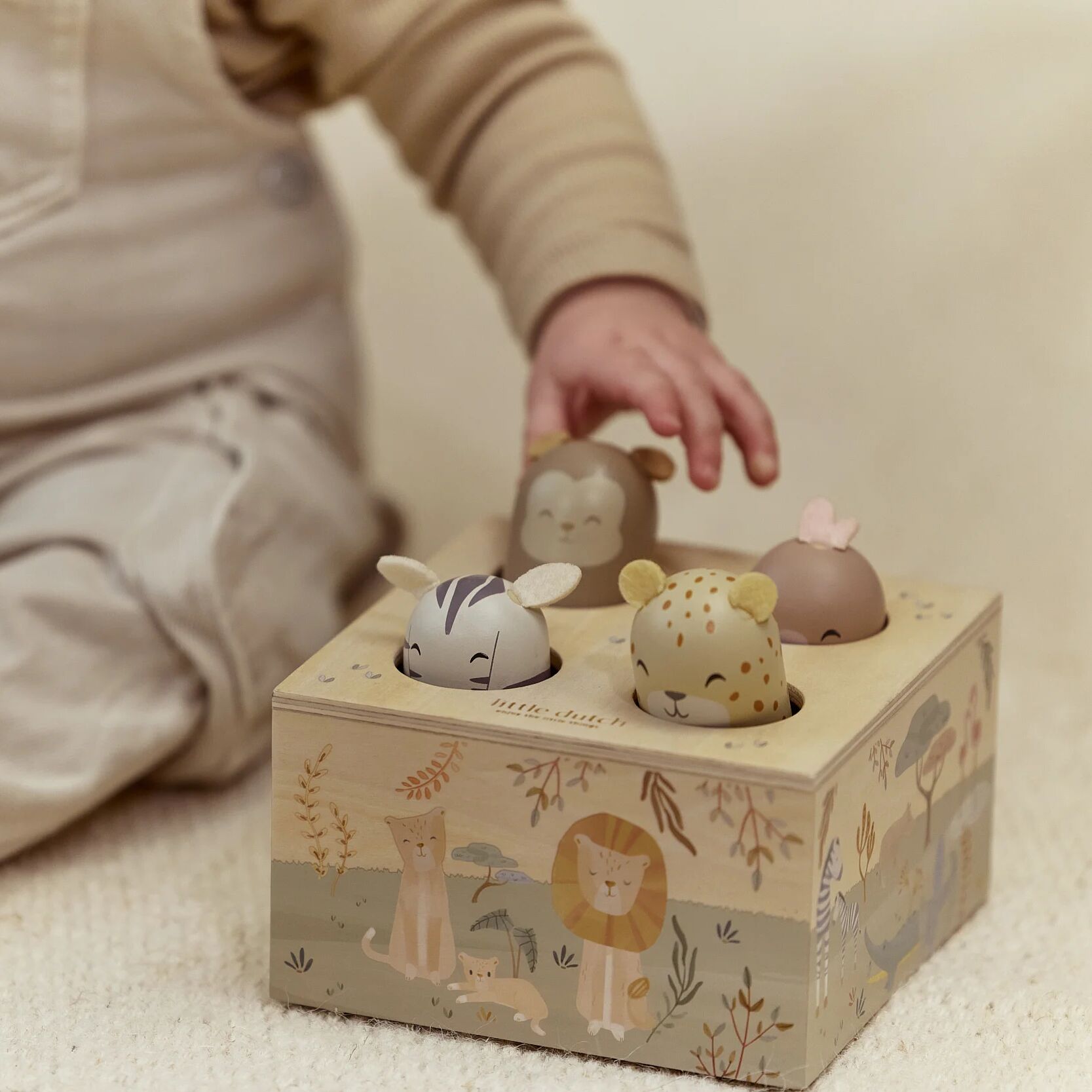 Wooden Pop-Up Toy
