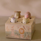 Wooden Pop-Up Toy