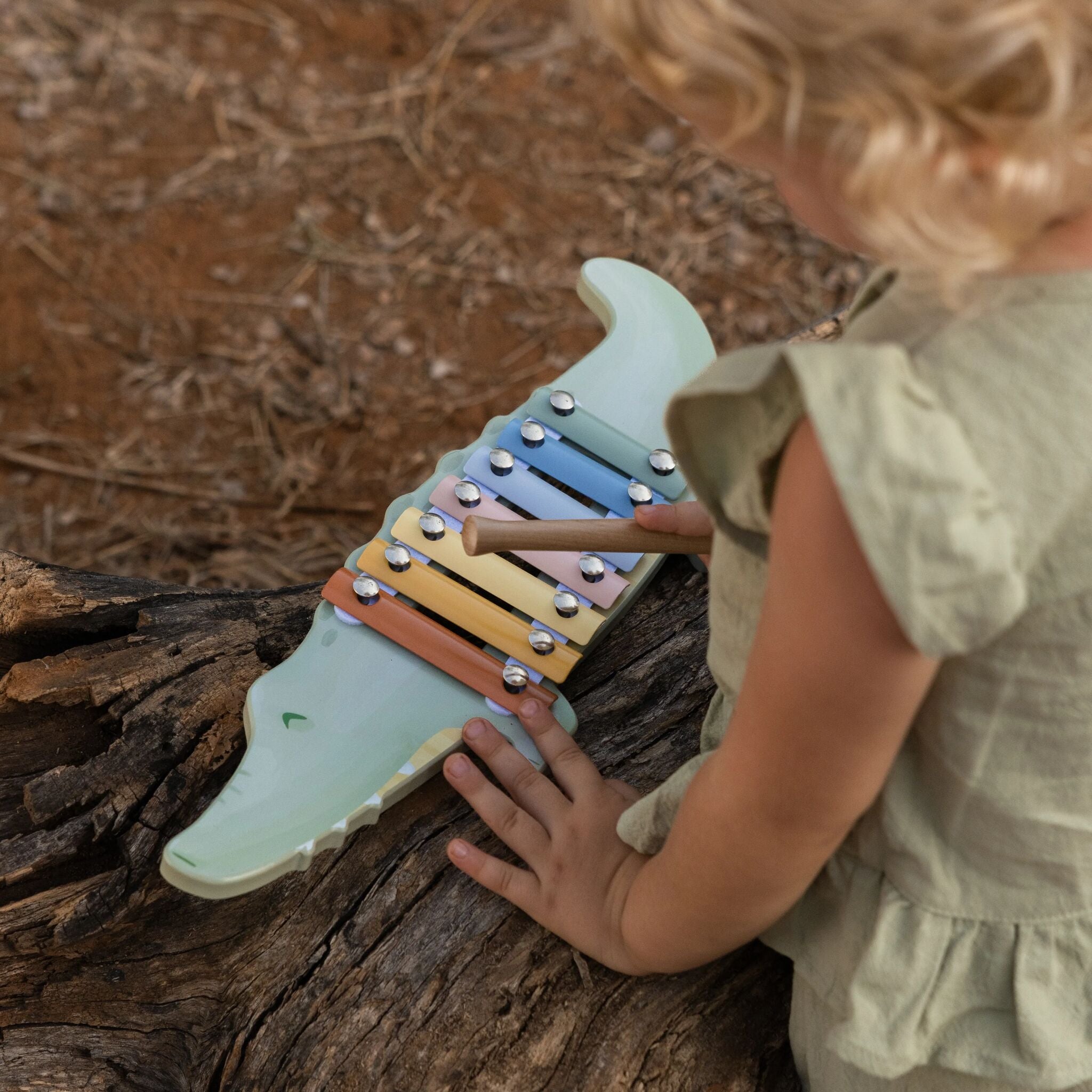 Xylophone Crocodile