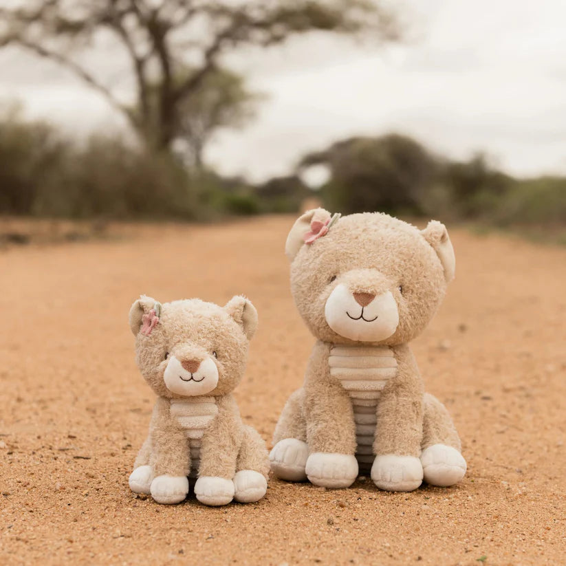 PRE-ORDER Cuddle Lioness 25cm