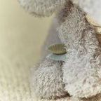 PRE-ORDER Cuddle Elephant