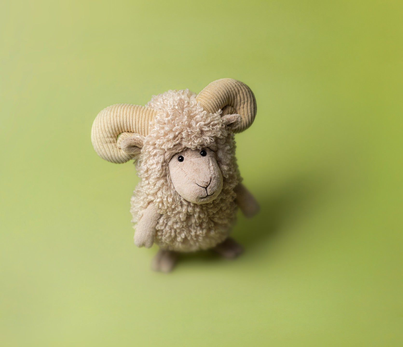 Ramsley Sheep