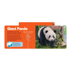 Chunky Tabbed Board Book - Wild Animals of the World