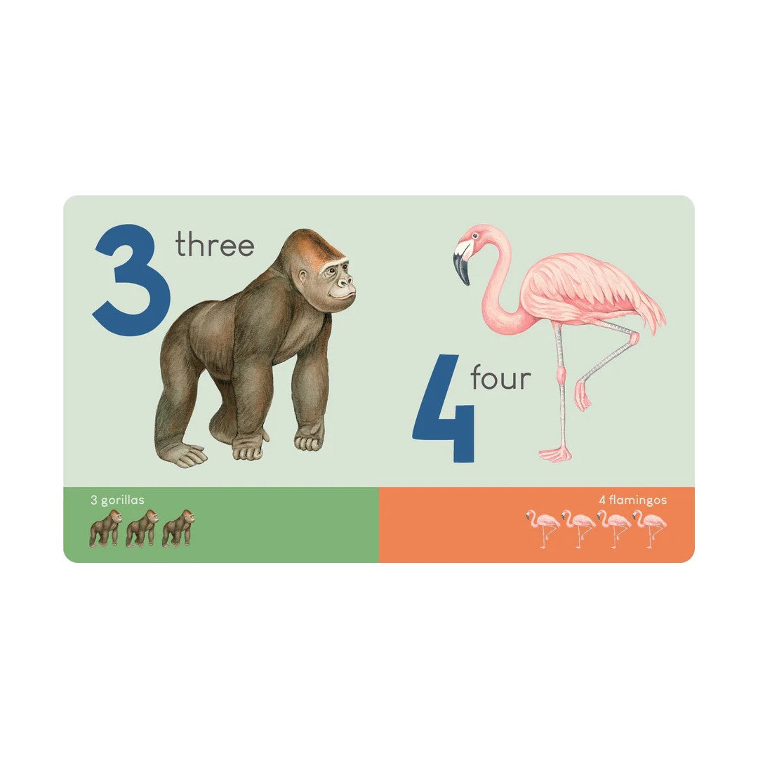 Carry Me Book - Animal Numbers