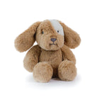 Little Duke Dog - Caramel