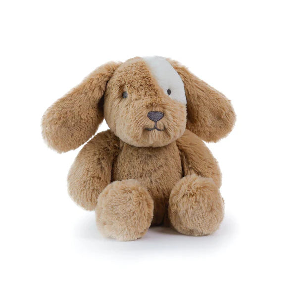 Little Duke Dog - Caramel