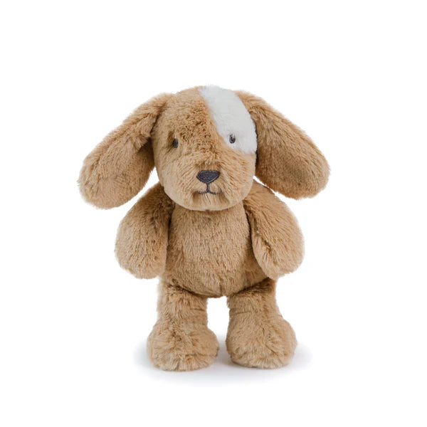 Little Duke Dog - Caramel