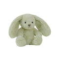 Little Clover Cottontail Bunny