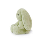Little Clover Cottontail Bunny