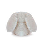 Little Ziggy Bunny - Oatmeal