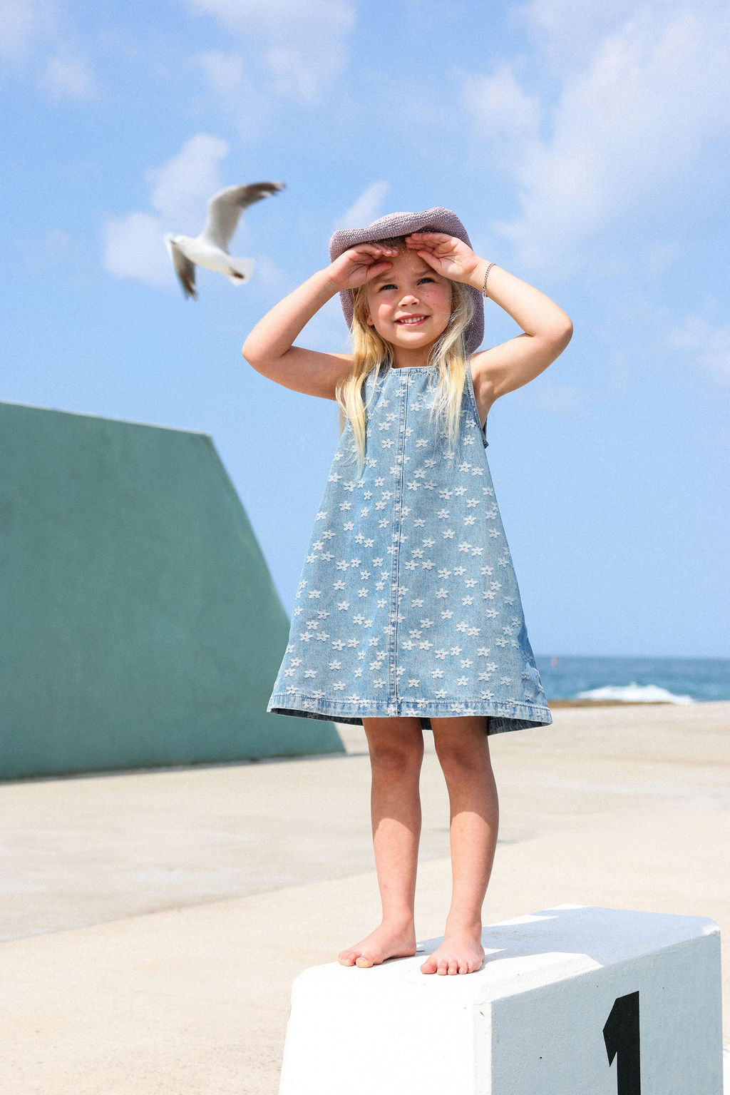 Daisy Denim Shift Dress