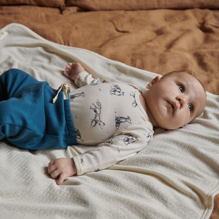 Nature Baby Long Sleeve Bodysuit - Foxy Print