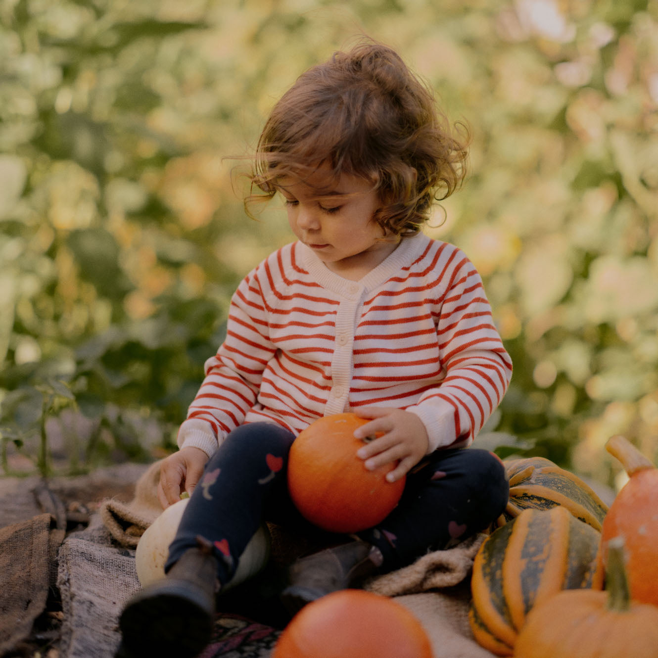Nature Baby Piper Cardigan - Red Sailor Stripe