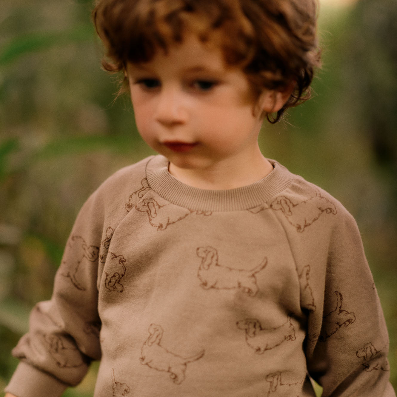 Emerson Sweater - Happy Hounds Print